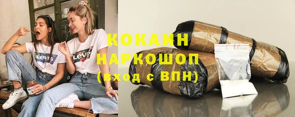 гашик Алексеевка