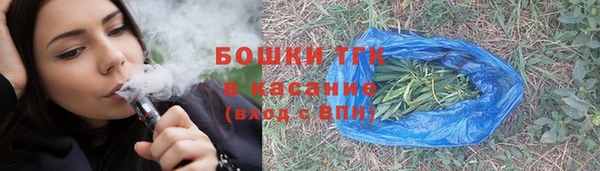 гашик Алексеевка