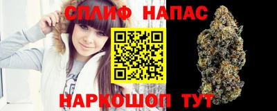 МДПВ Обнинск