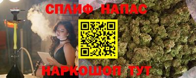 МДПВ Обнинск