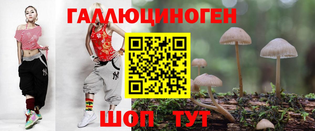 Псилоцибиновые грибы Psilocybe  Вход с VPN  Усть-Кут 